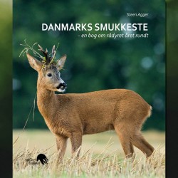 Danmarks smukkeste – en bog om rådyret året rundt : Steen Agger